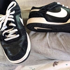 Nike Low Top Dunk Shoes